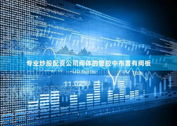 专业炒股配资公司阀体的管腔中布置有阀板