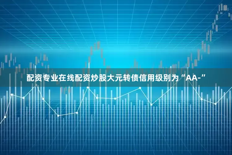 配资专业在线配资炒股大元转债信用级别为“AA-”
