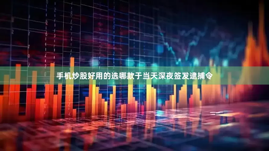 手机炒股好用的选哪款于当天深夜签发逮捕令