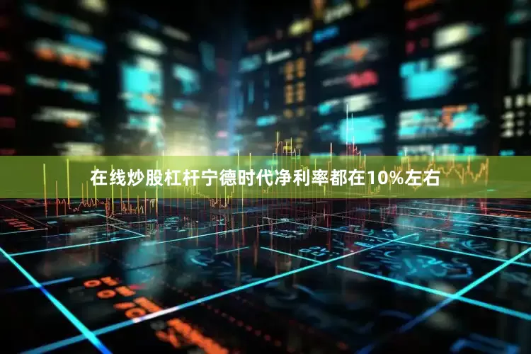 在线炒股杠杆宁德时代净利率都在10%左右